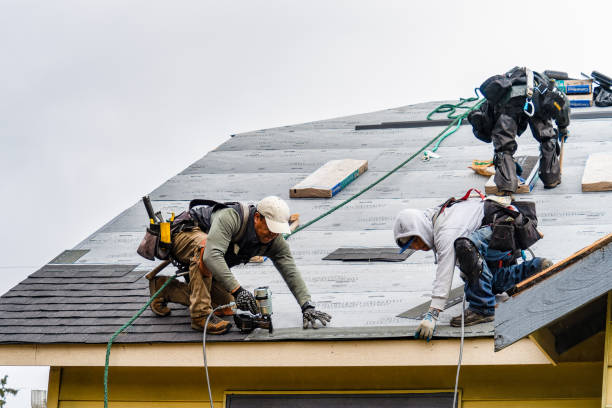 Professional Gutter Installation technician working in Locke, NY